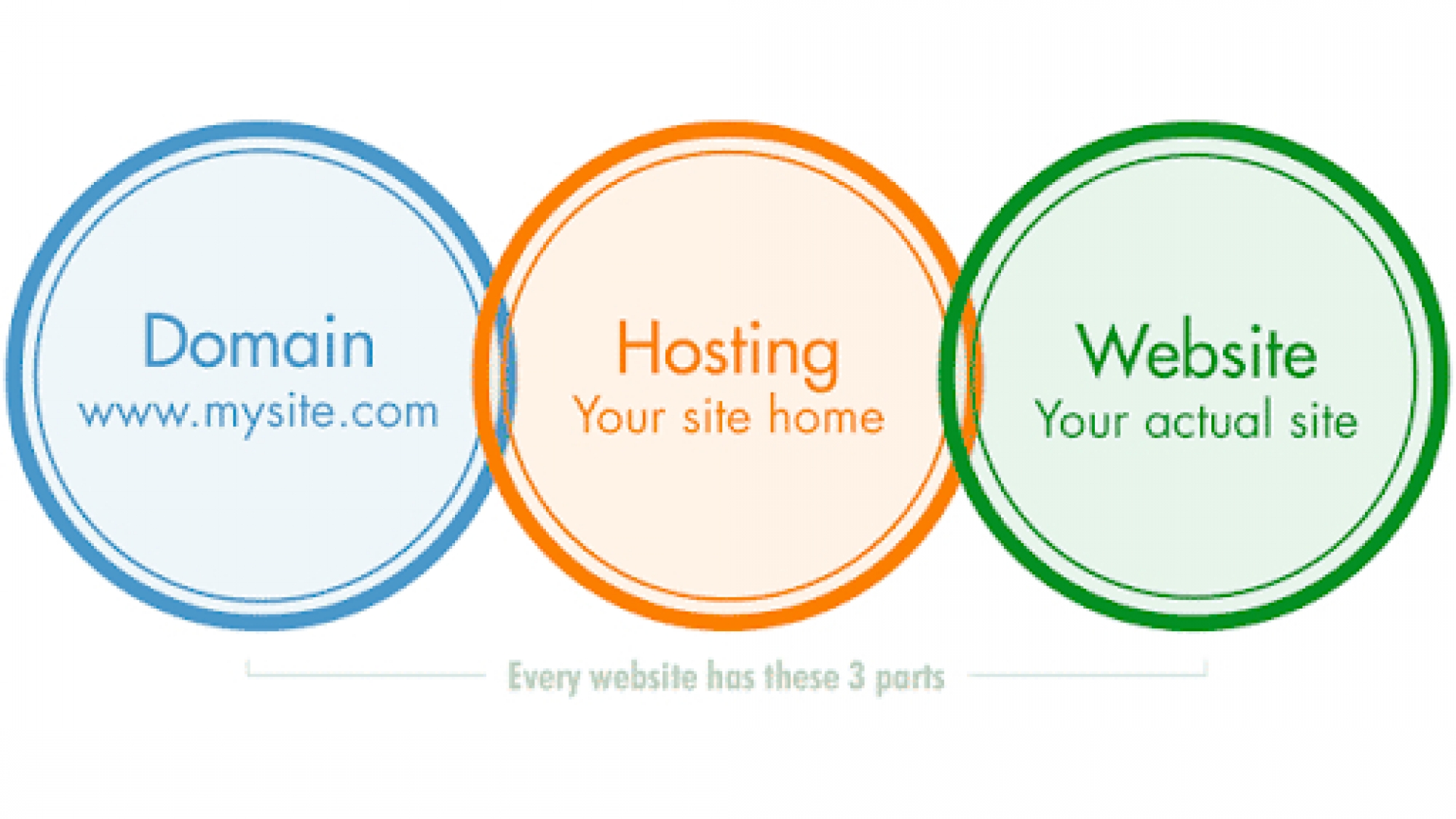 Apa Itu Domain, Hosting, dan Database? Penjelasan Sederhana untuk Pemula